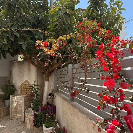 Apartman & Ardian-mandi Sarande-albania